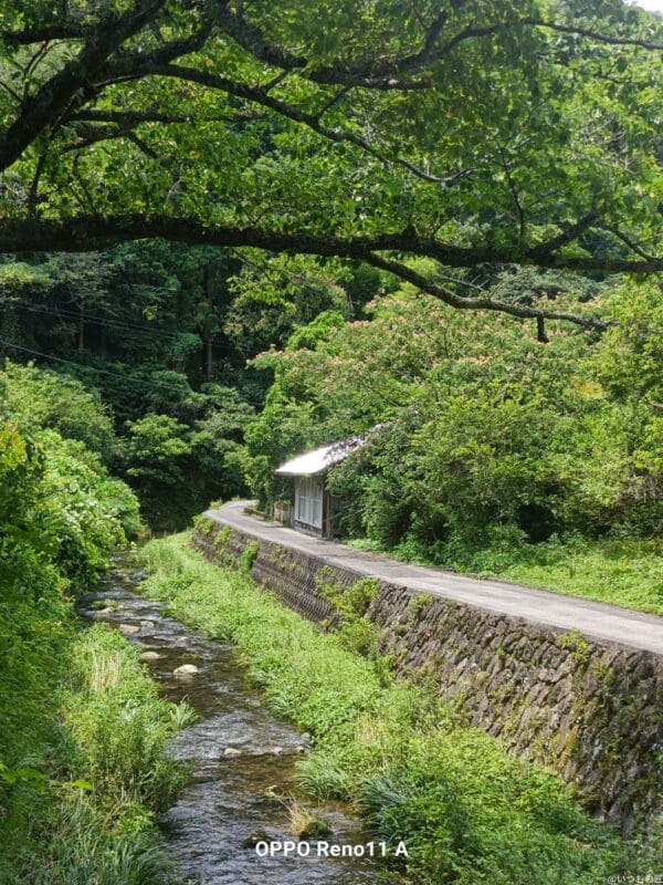 | 安く買う匠 OPPO Reno11 A カメラ OPPO Reno11 AでHDR撮影した写真