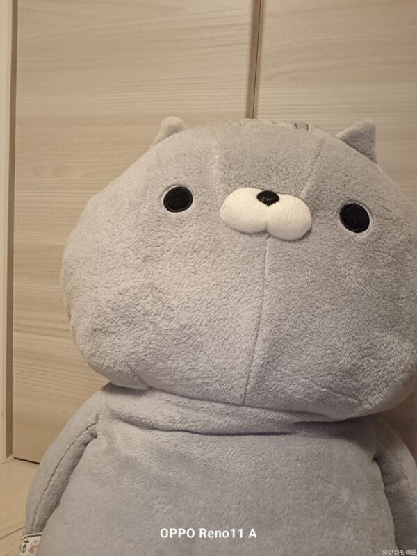 OPPO Reno11 A カメラ 
OPPO Reno11 Aのインカメラで撮影したぬいぐるみの写真
