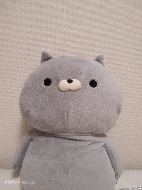 moto g66y 5G カメラ 屋内で自撮りしたクマのぬいぐるみ