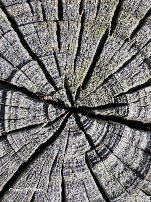 google pixel 7a実機レビュー!おすすめのコスパ最強なスマホを徹底検証 | モバイル比較レビュー.jp Galaxy S25 Ultra カメラ
ひび割れた木の年輪