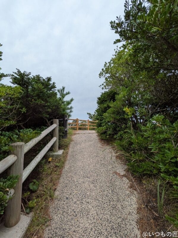 | モバイル比較レビュー.jp Google Pixel 10 カメラ
草木が生い茂る通路を撮影した一枚