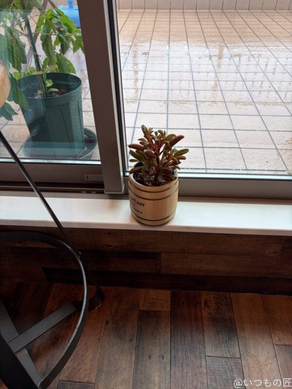 窓枠に置かれた観葉植物 | iphone review.jp iPhone Air カメラ 窓枠に置かれた観葉植物